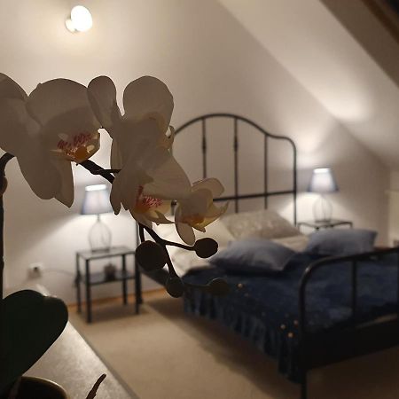 Mieszko Rooms レギオノボ エクステリア 写真