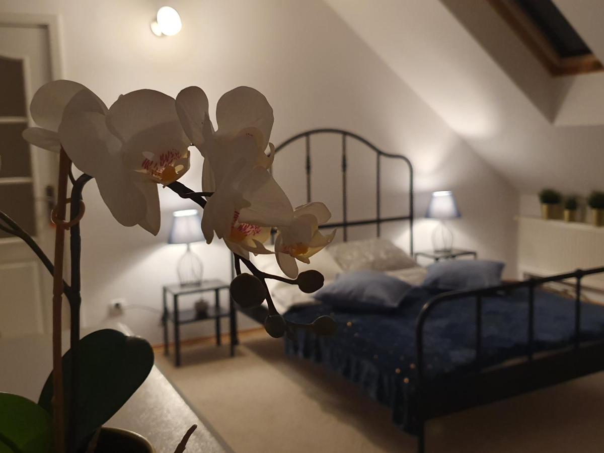 Mieszko Rooms レギオノボ エクステリア 写真